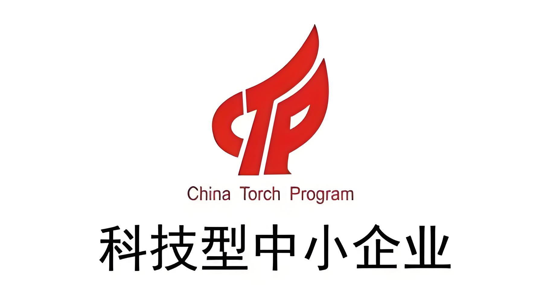 企业类型中小型企业