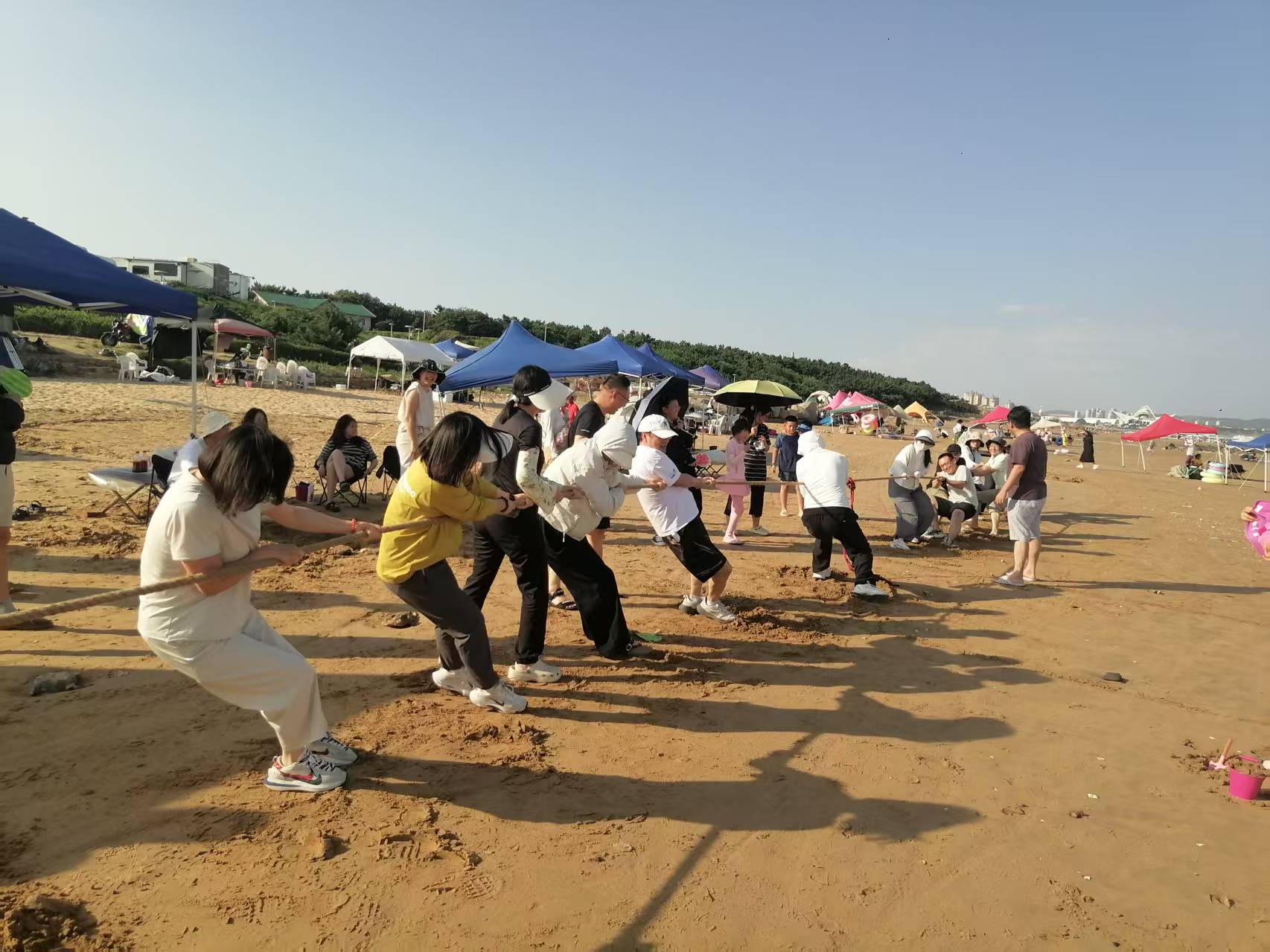 微信图片_20260811100900_248_72.jpg